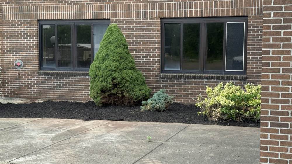 The same behavioral health unit entrance after clearing, with mulched planting beds