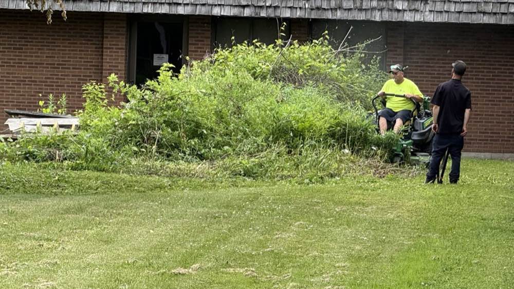 Medical services building frontage before clearing, with dense overgrowth along the wall