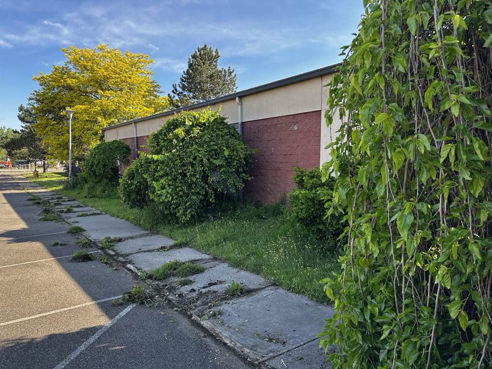Seneca Street frontage before tree trimming